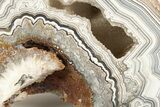 Polished Crazy Lace Agate Section - Mexico #323870-1